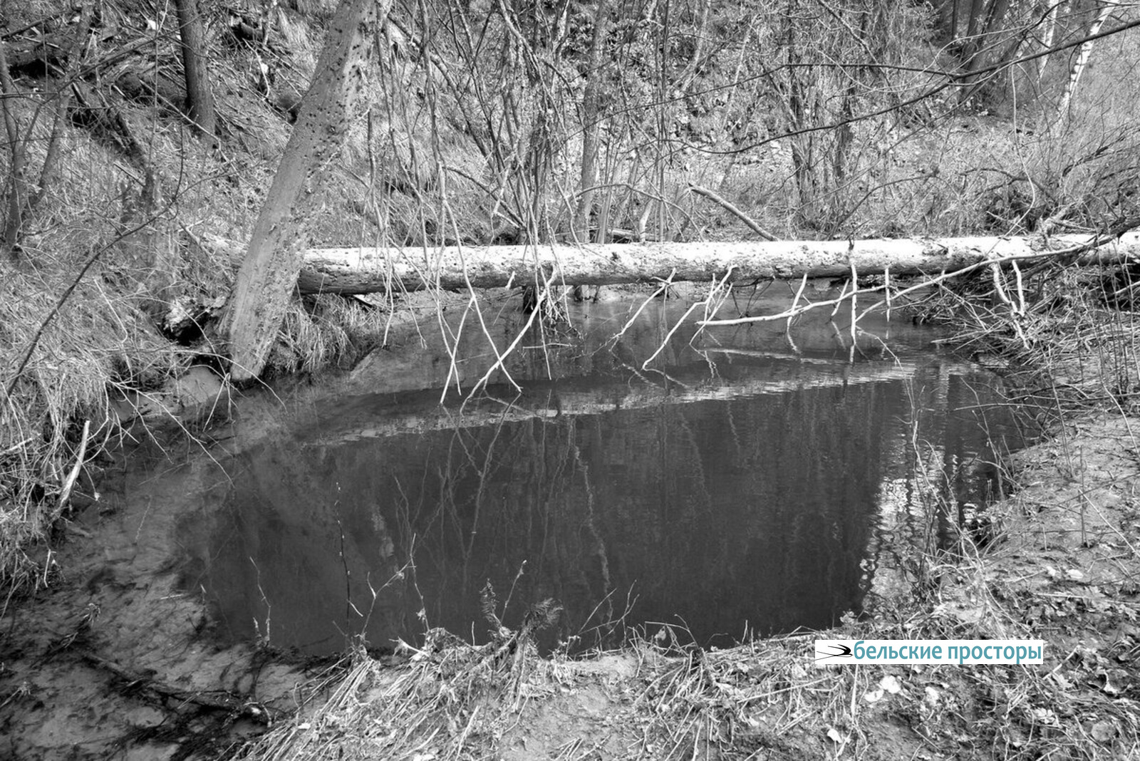 Одна из воронок на месте ухода реки под землю