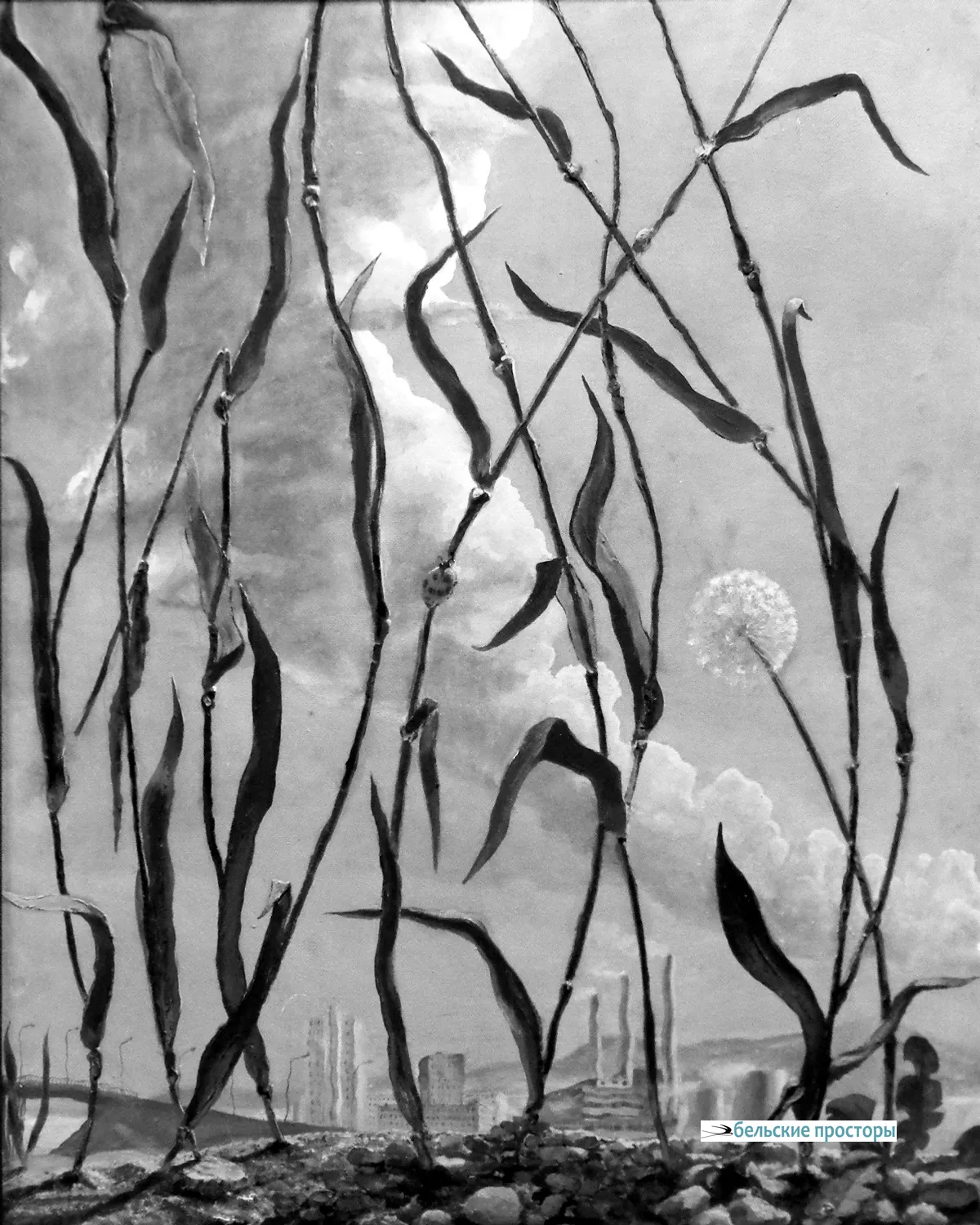 Июль. В траве