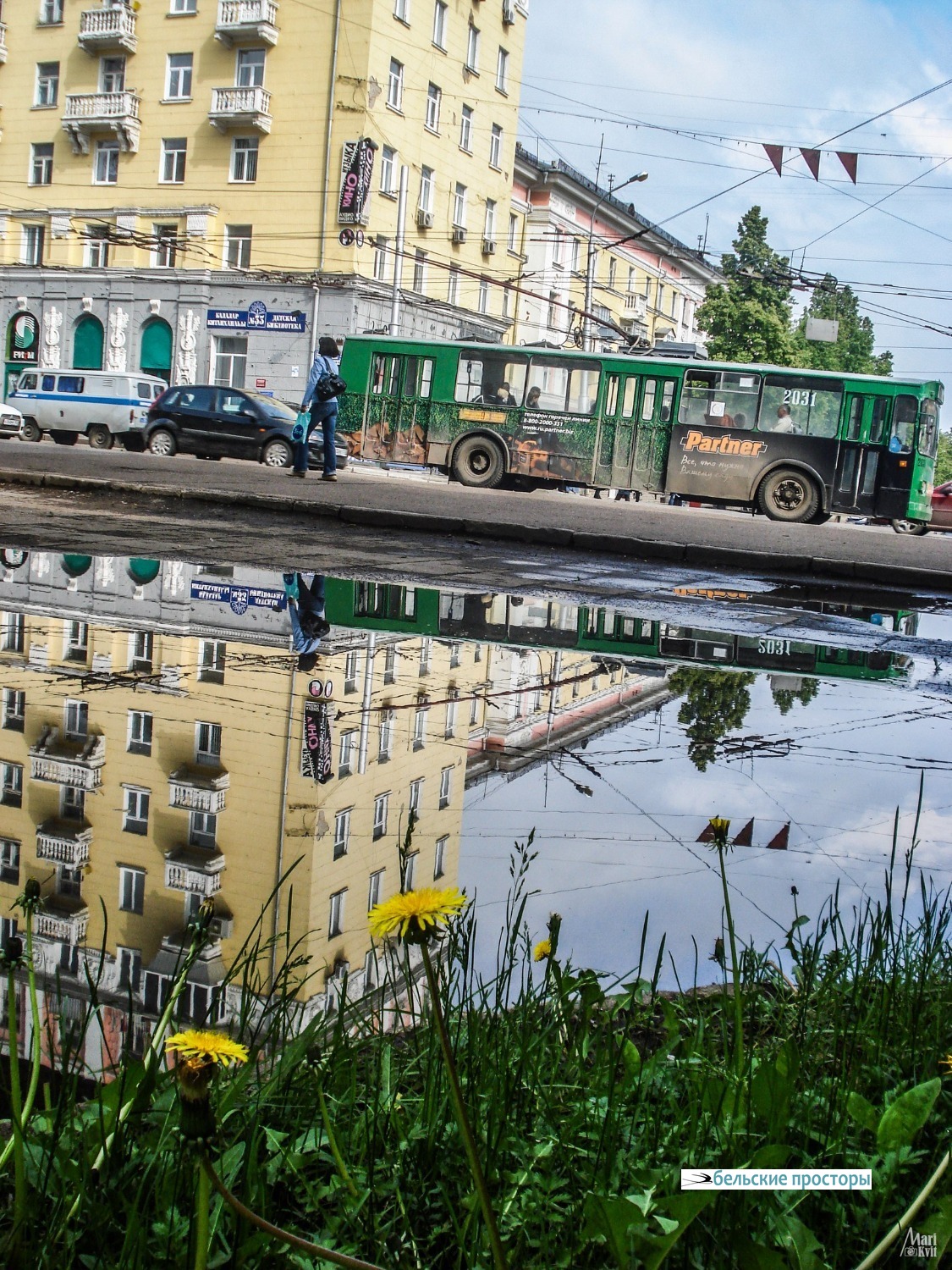 Зелёный троллейбус