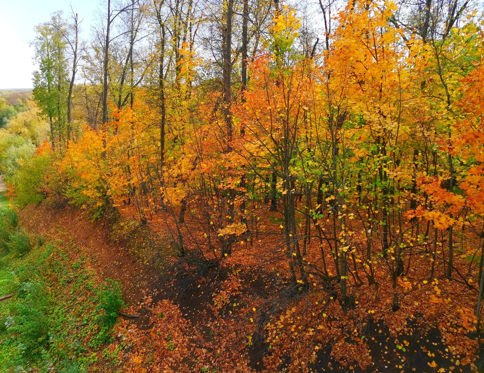 Фото: Алексей Чугунов