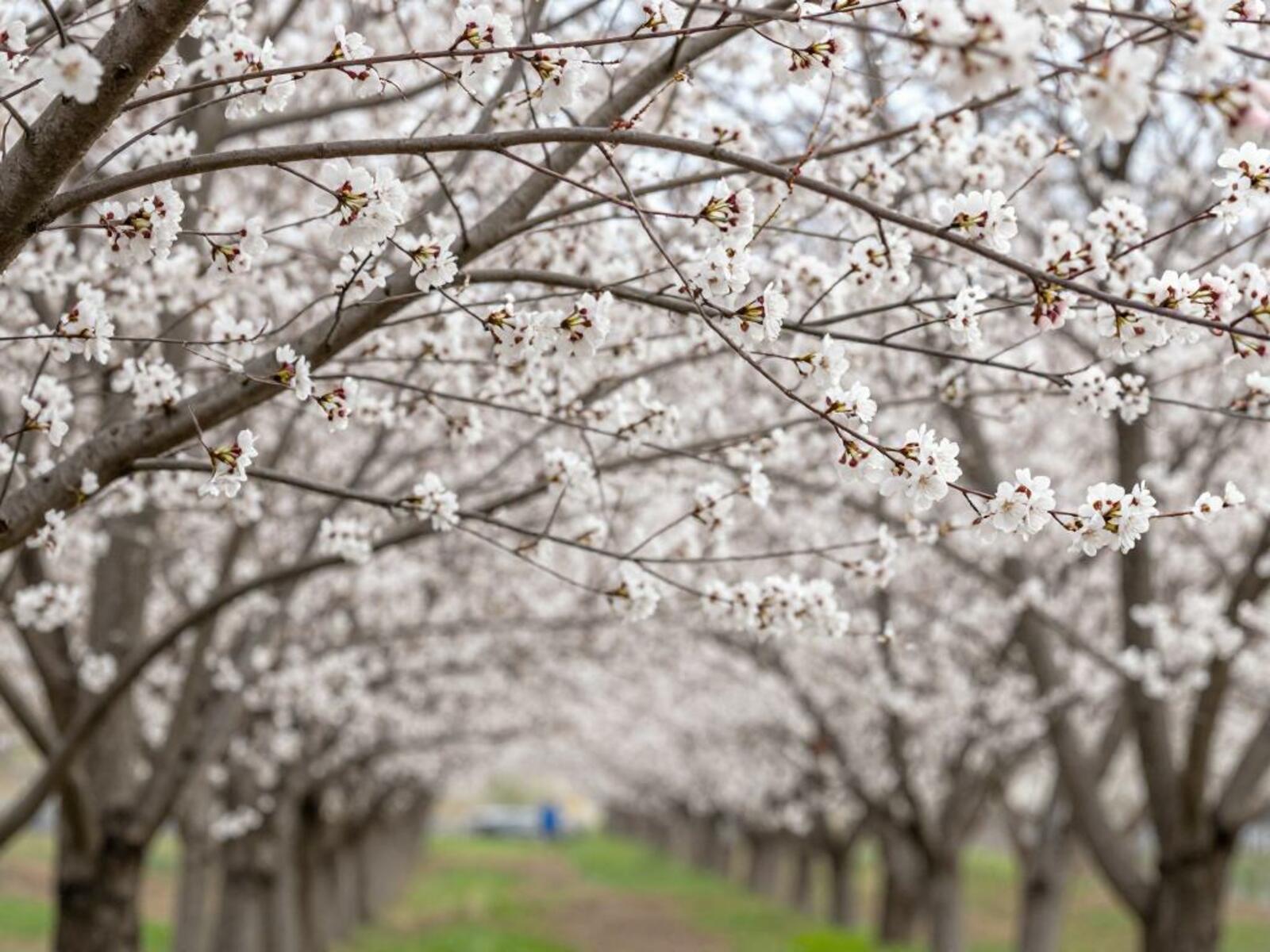 Изображение сгенерировано нейросетью